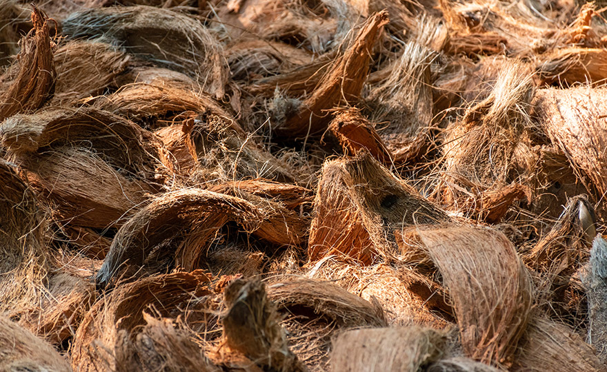 RheVision - Rice Hull/Husk Reinforced​ Reinforced Thermoplastic Properties